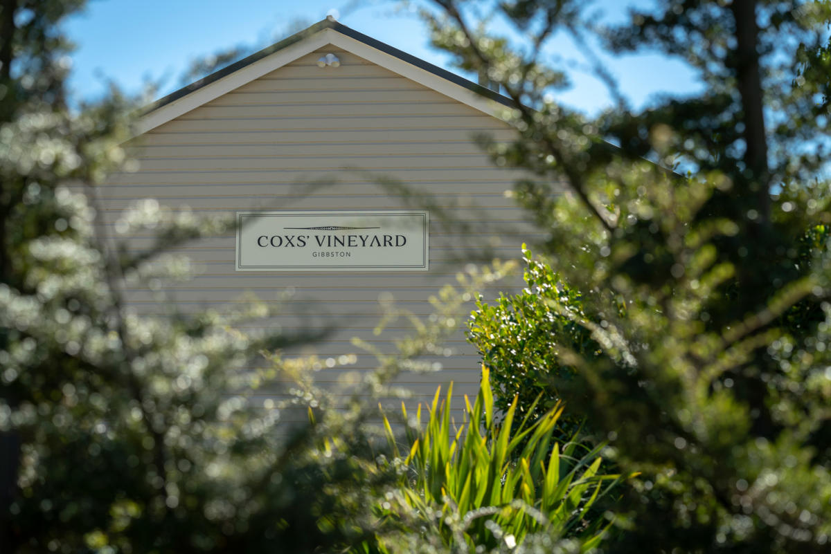Coxs' Vineyard