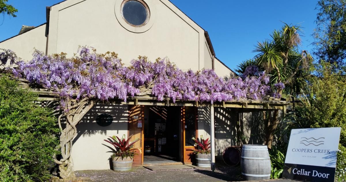 Coopers Creek Vineyard