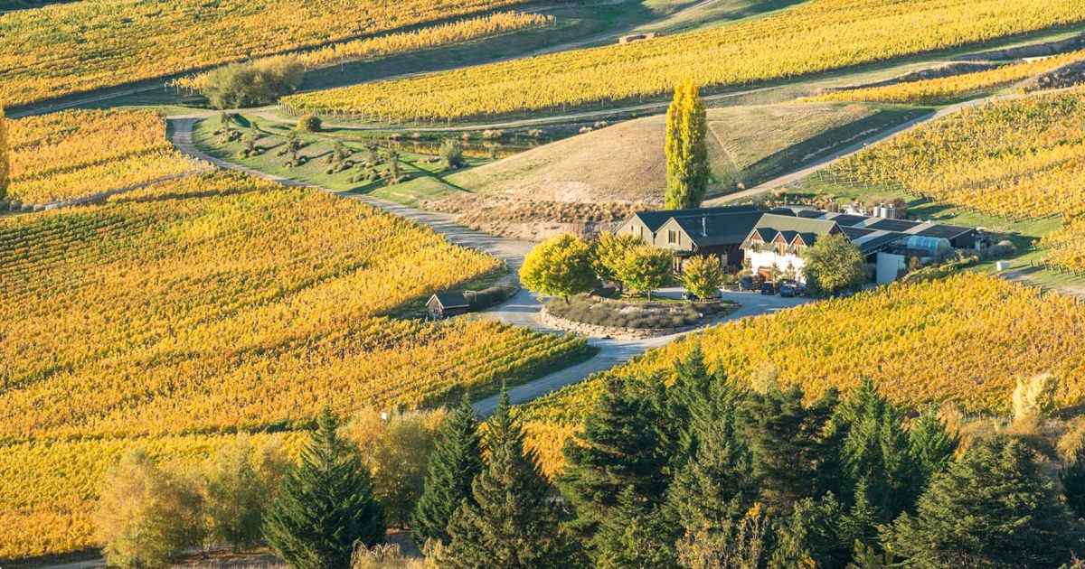 Felton Road Wines | Best Wineries New Zealand