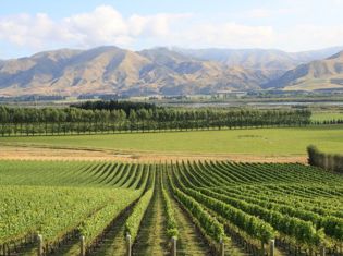 Waitaki Valley