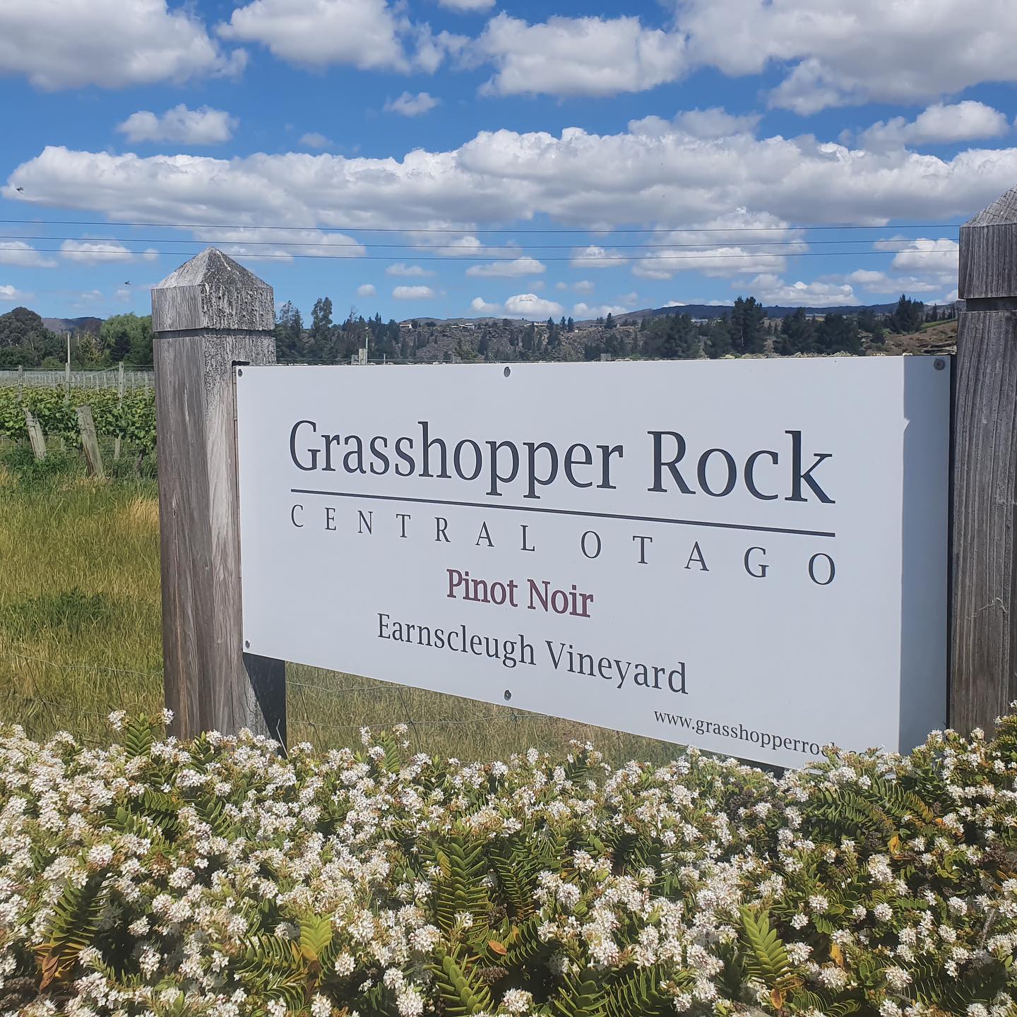 Grasshopper Rock