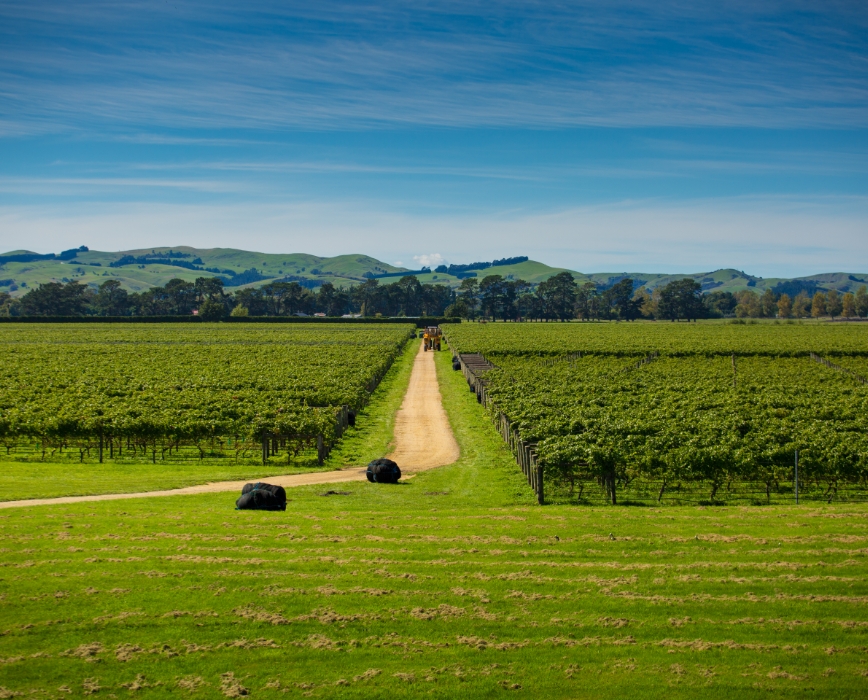 Matahiwi Estate