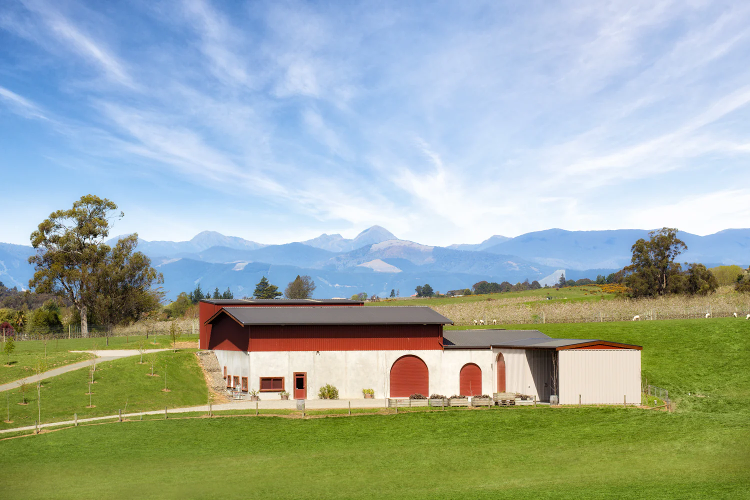 Blackenbrook Vineyard