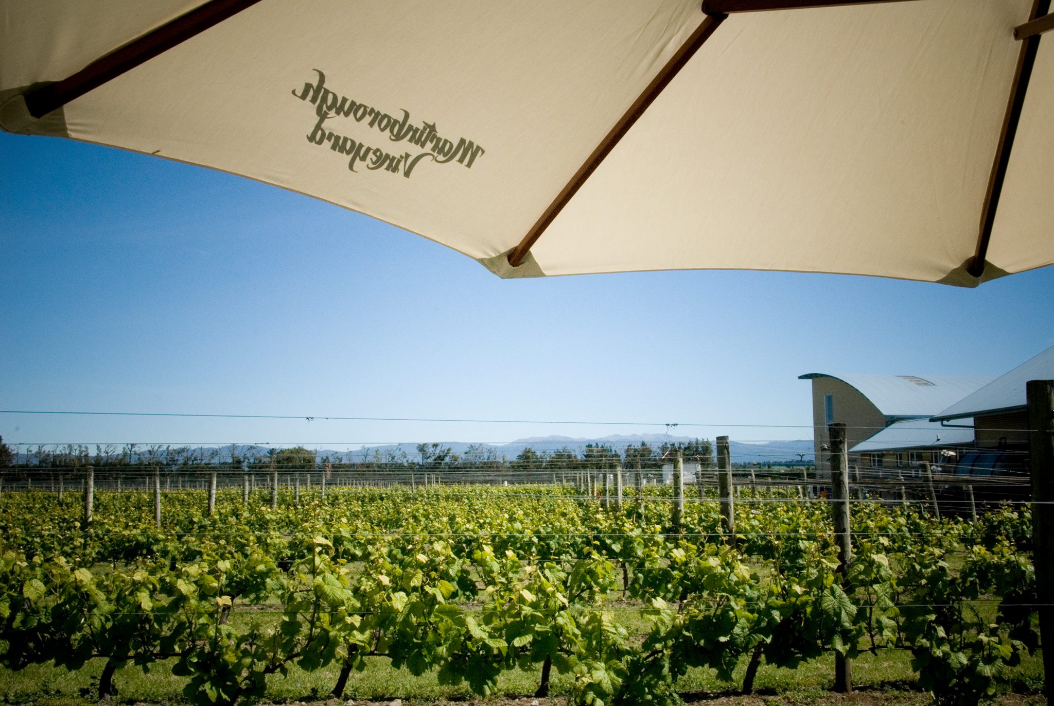 Martinborough Vineyard