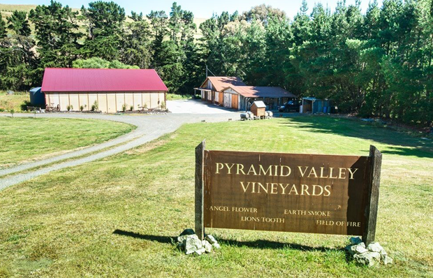 Pyramid Valley Vineyards
