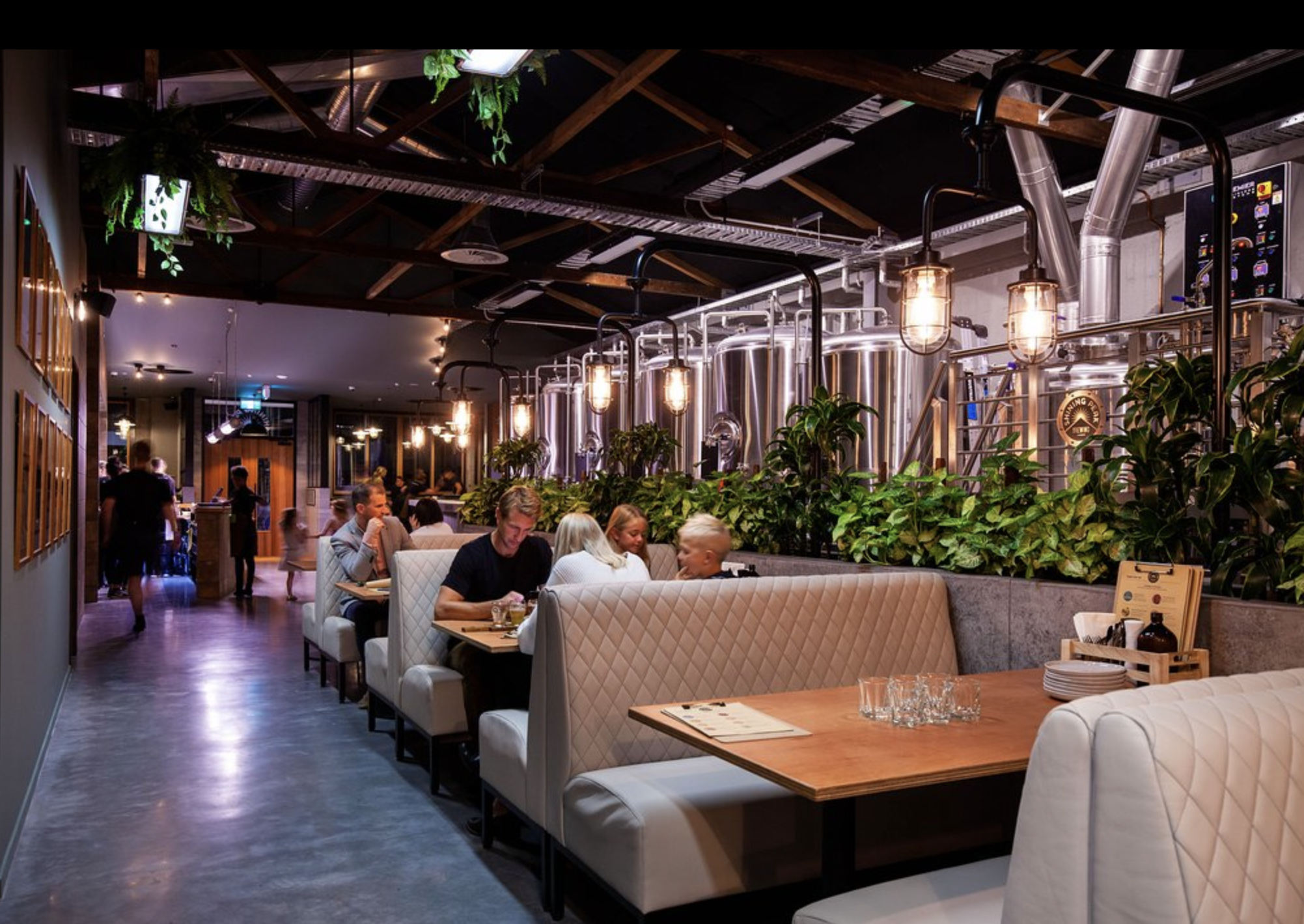 Shining Peak Brewing