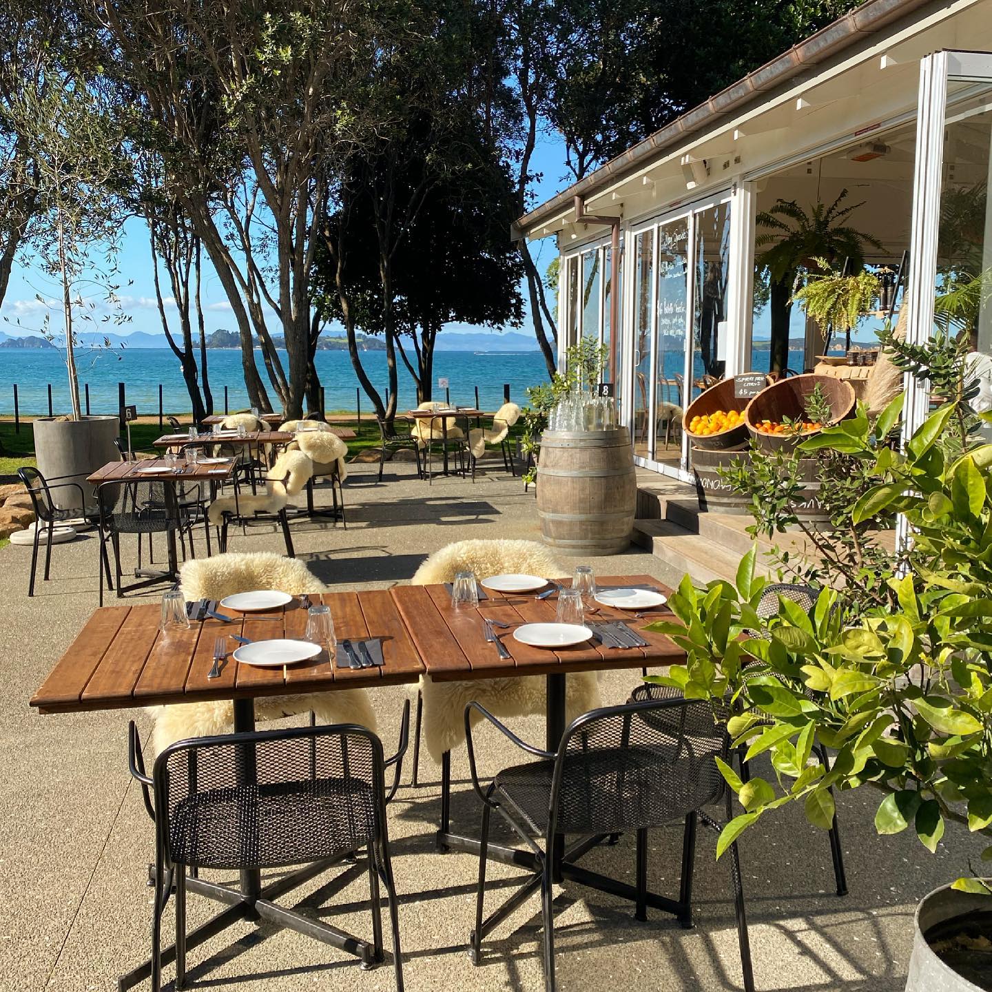 Man O' War Vineyards