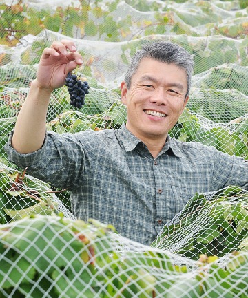 Kusuda Wines