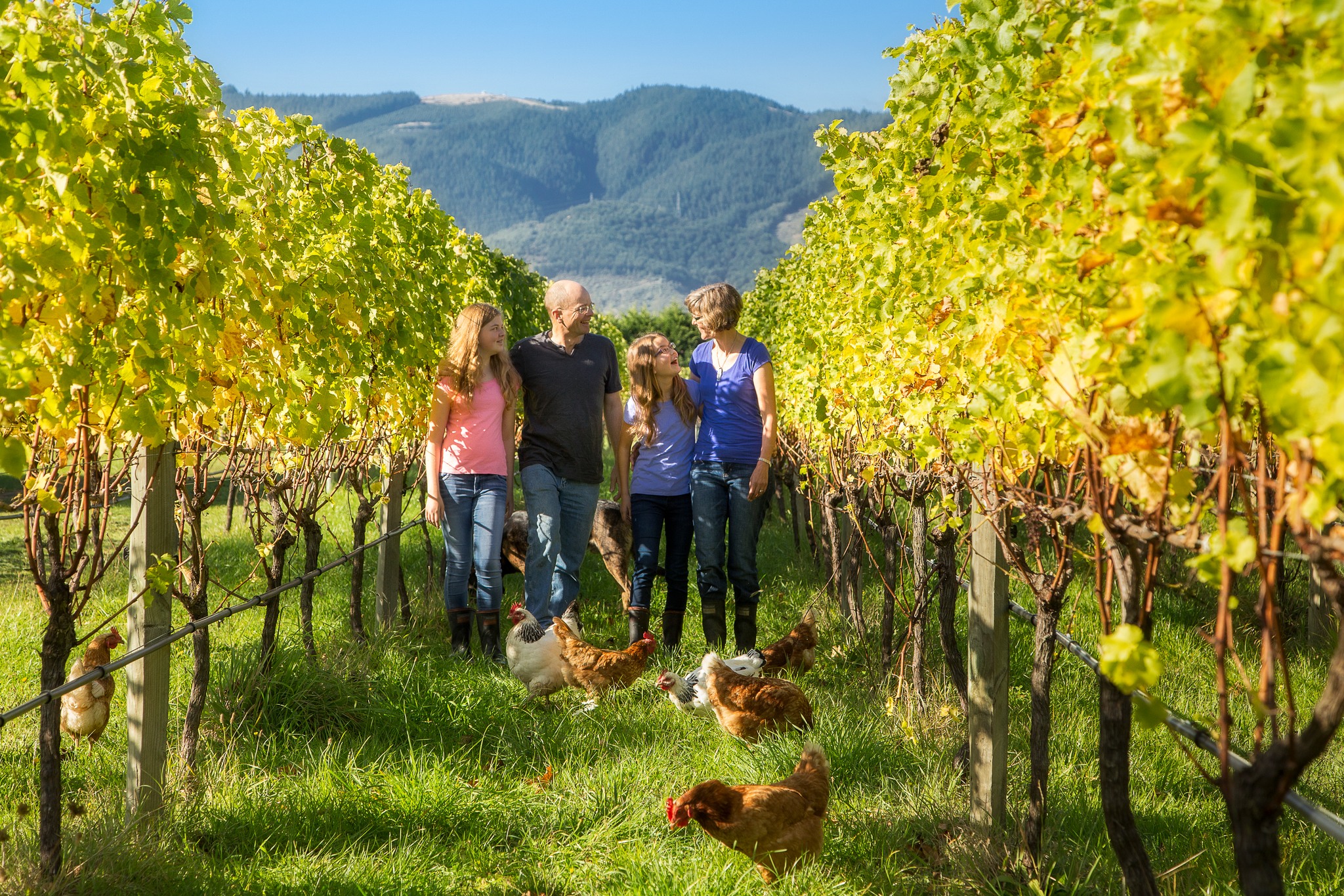 Richmond Plains Wines